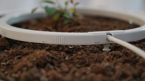 NetBowTM, Sival de bronze 2020, répartit de manière optimale le goutte-à-goutte pour une meilleure homogénéité du développement racinaire. ©Netafim